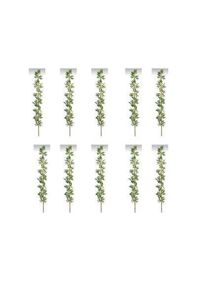 Rüzgar Yapay Çiçekçilik 220 Cm 10 Adet Bambu Yeşil