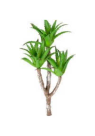 Yapay Sukulent Dal 3 Agave'li Yeşil 38 Cm. Çok Renkli