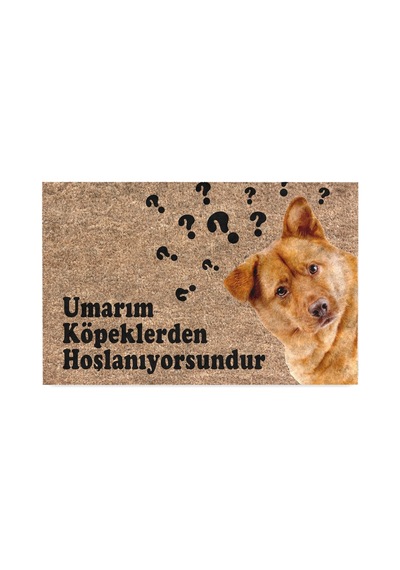Kedi Köpek Komik Tasarımlı Dekoratif Kapı Önü Paspas, Dış Mekan/ev İçi/banyo/mutfak/yatak Odası/giriş Paspasları Umarım Köpeklerden Hoşlanıyorsundur, 45x70 Sku: Zeusb0b5hbp1y1 11ypycoco Kedi Köpek Komik Tasarımlı Dekoratif Kapı Önü Paspas, Dış Mekan/ev İçi/banyo/mutfak/yatak Odası/giriş Paspasları Umarım Köpeklerden Hoşlanıyorsundur, 45x70 Sku: Zeusb0b5hbp1y1 11ypycoco