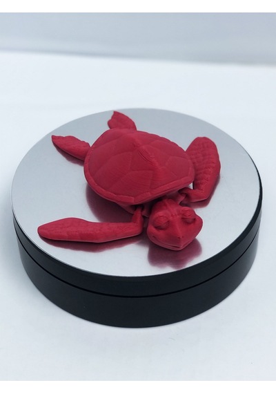 3D Hareketli Kaplumbağa Figürlü Oyuncak - Kırmızı