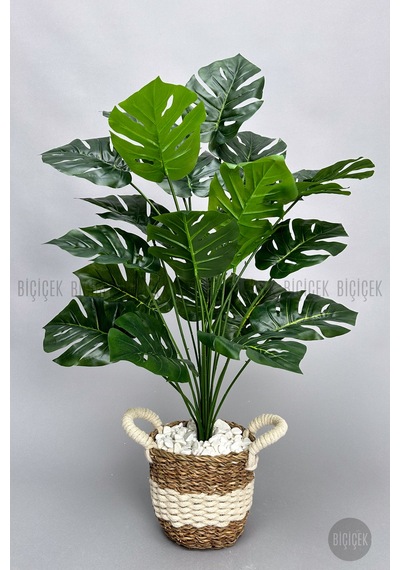 Yapay Monstera Deve Tabani Bi Tki Si 60 Cm Krem Orgulu Hasir Saksıda