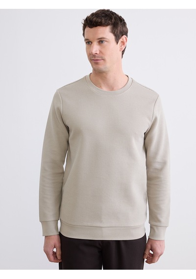 Lcwaıkıkı Classic Gri Bisiklet Yaka Erkek Sweatshirt