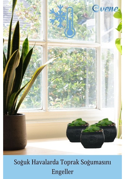Mini Çiçek Saksı Küçük Sukulent Kaktüs Saksısı 3'lü Set Mini Çizgili Çiçekli Model - Siyah