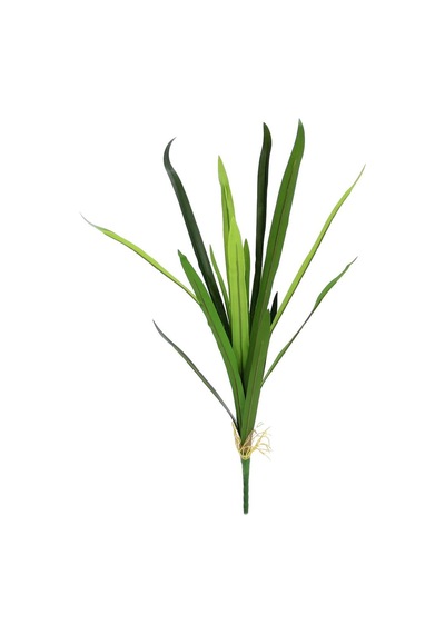 Yapay Dracena Demeti Büyük
