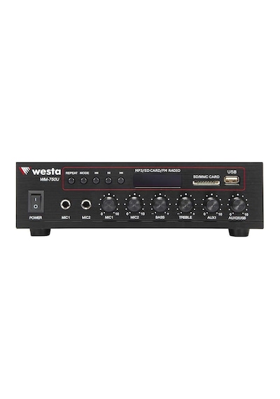 Luxury,80watt Usb,bluetooth, Sd Kart, Uzaktan Kumanda, Kısa Devre Koruma, Bas, Tiz Kontrol Seslendirme Anfisi