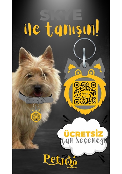 Petjoo 6.Skye Sarı-Gri Qr'lı Köpek Künyesi