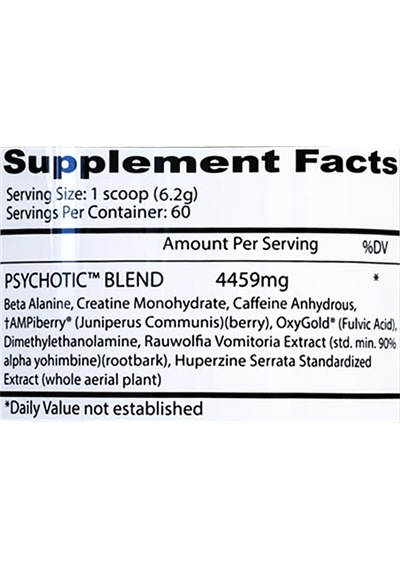 Insane Psychotic Extreme Preworkout 60 Servis 376 G