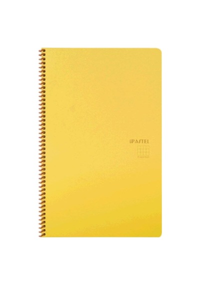 Pastel Çizgili Spiralli Pp Kapak 80 Yaprak Note De Çok Renkli