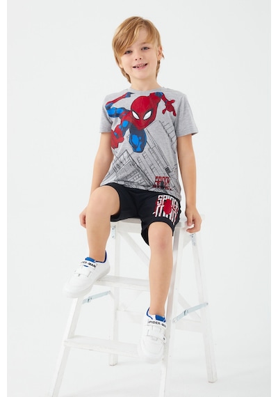 Spiderman Buildings Gri Erkek Çocuk Bermuda Takım