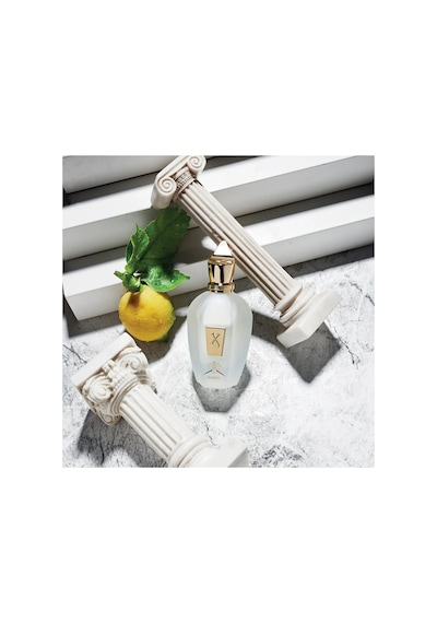 Naxos Edp 100ml Diğer