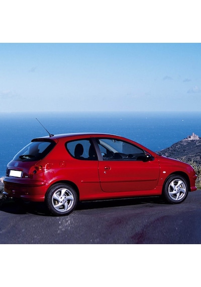 Vass41 Peugeot 206 Tek Kapı 98-08 Arka Bagaj Amortisörü Pistonu 8731.e6