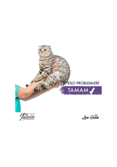 Az Tahıllı Sterilised Somonlu Kedi Maması 12 Kg