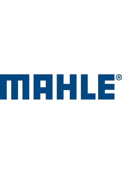 Mahle Motor Piston+Segman Std Ducato-Boxer-Jumper 2.8D 94.40