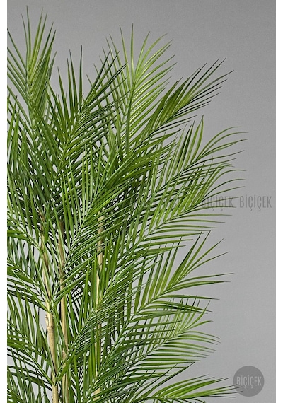 Biçiçek Yapay Areka Palmi̇yesi̇ 150 Cm 33 Yaprak Beyaz Kumsal Saksıda