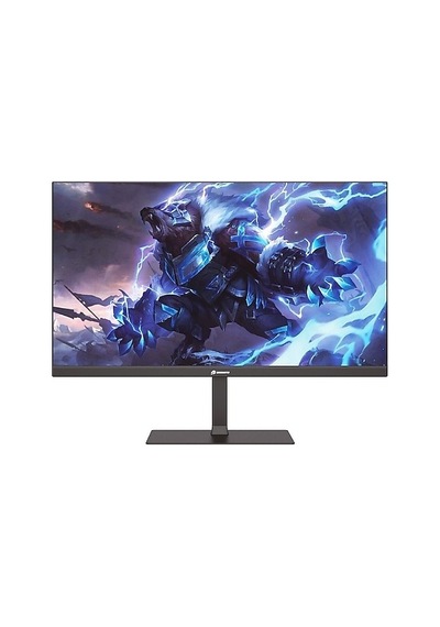 Gamebooster 23.8 Gb-2411ff Mprt Ips Fhd Flat 1ms 100hz Hdmı/vga Gamıng Monıtör