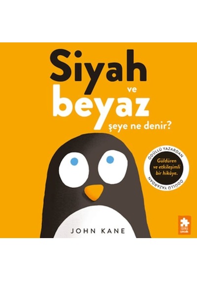 Siyah Ve Beyaz Şeye Ne Denir - Abay-893311