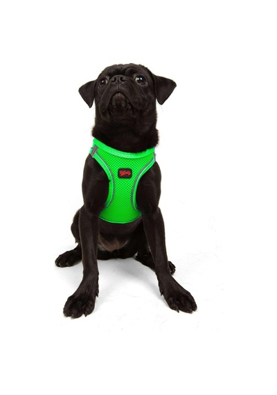 Tailpetz Air-mesh Küçük Ve Orta Irk Kedi Köpek Göğüs Tasması - Yumuşak, Nefes Alabilir, Dayanıklı Neon-yeşil, Medium Sku: Zeusb0b8271d7q Açık Bej - Bej