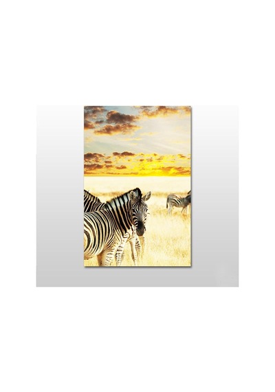 Zebra Kanvas Tablo 60x30