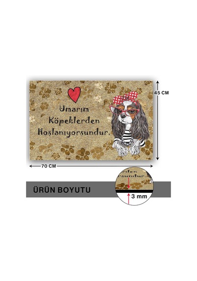 Tasarımlı Dekoratif Kapı Önü Paspas, Dış Mekan/ev İçi/banyo/mutfak/yatak Odası/giriş Paspasları Umarım Kö Diğer
