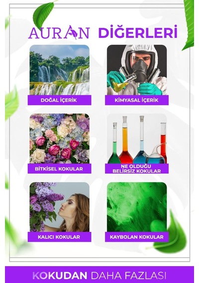 Auran 10 Ml Lotus Esansiyel Uçucu Koku Yağı Buhurdanlık Yağı Diğer