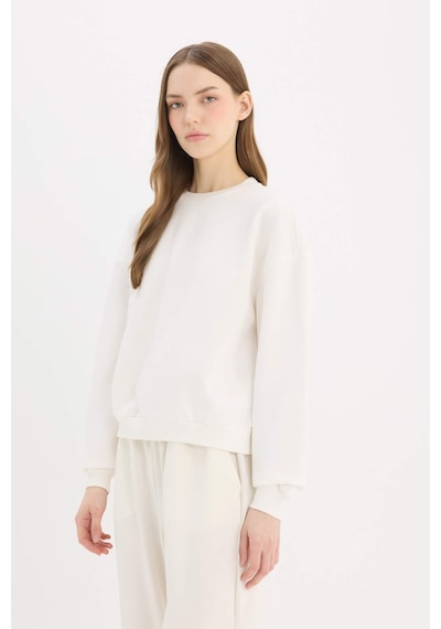 DeFacto Regular Fit Bisiklet Yaka Kalın Basic Düz Sweatshirt D6645AX25SPWT32
