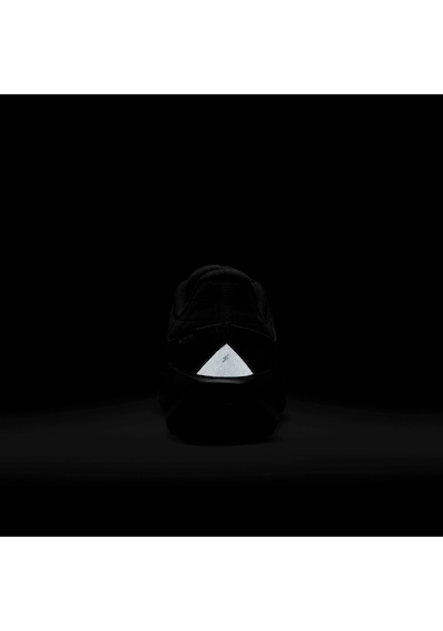 Nike W Aır Wınflo 11 Gtx Siyah