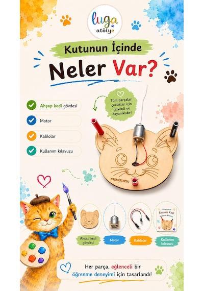 Stemist Box: Ressam Kedi