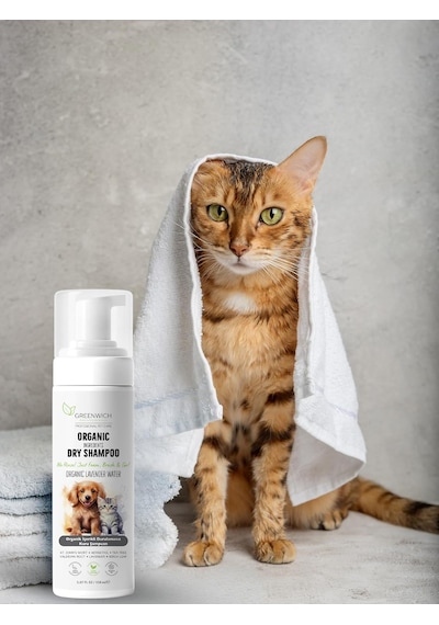 Ayrex Greenwich Köpek Ve Kedi İçin Durulamaya Gerek Olmayan Lavanta Özlü Temizleme Köpüğü, 150 Ml
