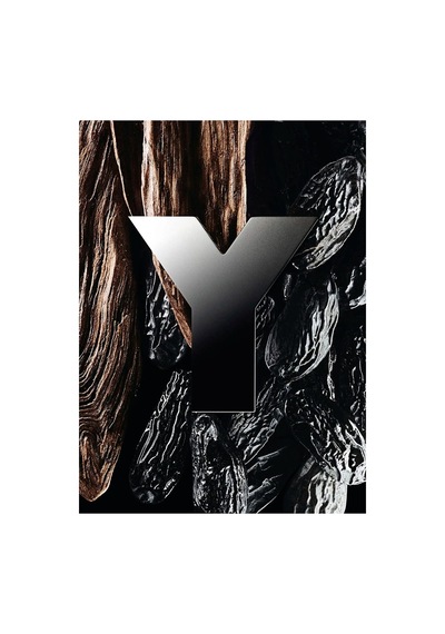 Y Men Erkek Parfüm Edp 100 Ml Fresh