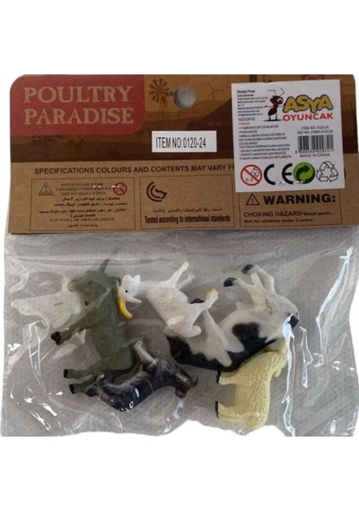 Asya Oyuncak Hayvan Seti Pvc C5865-0120-24