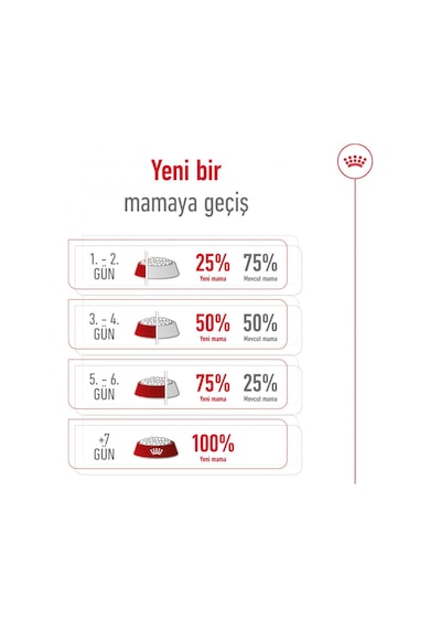 Royal Canin Mini Adult Küçük Irk Yetişkin Köpek Maması 4 KG