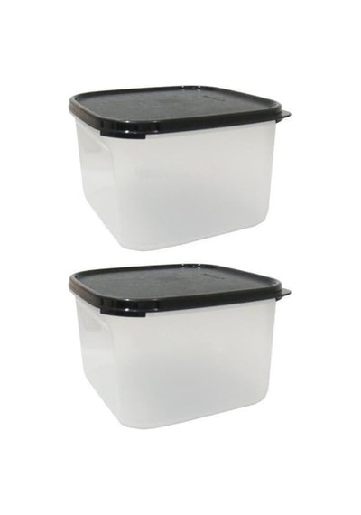 Modular Mates Mm Set: 2 X Mini Dikdörtgen Rectangle Iı By Tupperware S