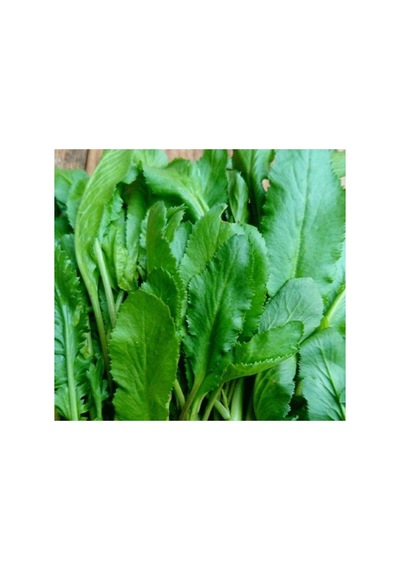 İnce Tere Tohumu - 10 Gram