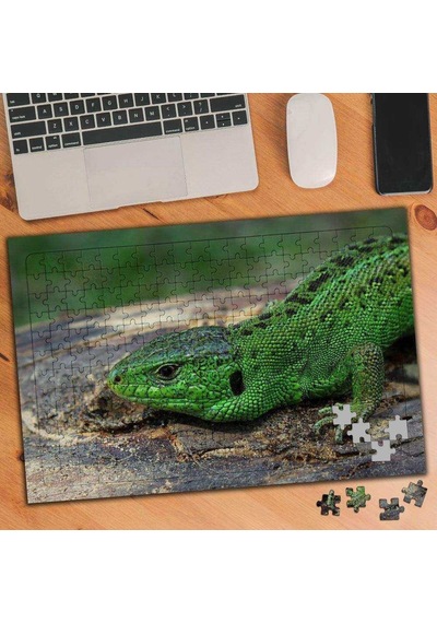 Yeşil Kertenkele 240 Parça Puzzle Yapboz-63185