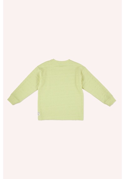 Erkek Çocuk Yeşil Sweatshirt Çok Renkli