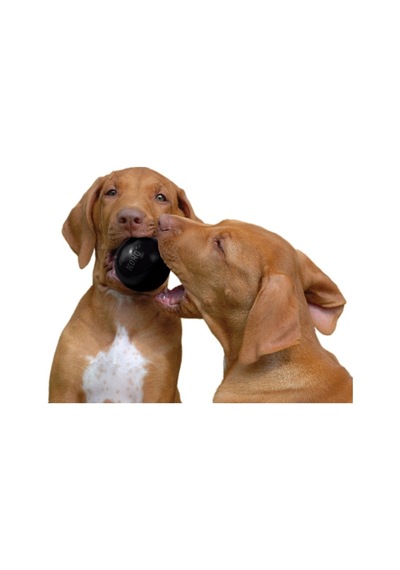Kong Köpek Extreme Oyun Topu M-l 8cm