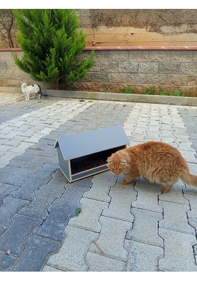 Ahşap Dış Mekan Suya Dayanıklı Kedi Yemlik Mamalık 22x45 Cm