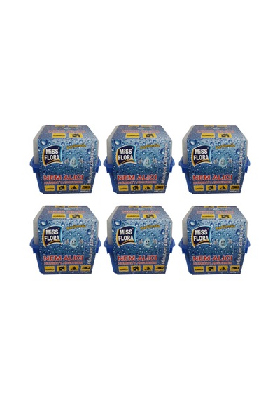 Miss Flora Nem Alıcı 450 G 6' Lı Paket