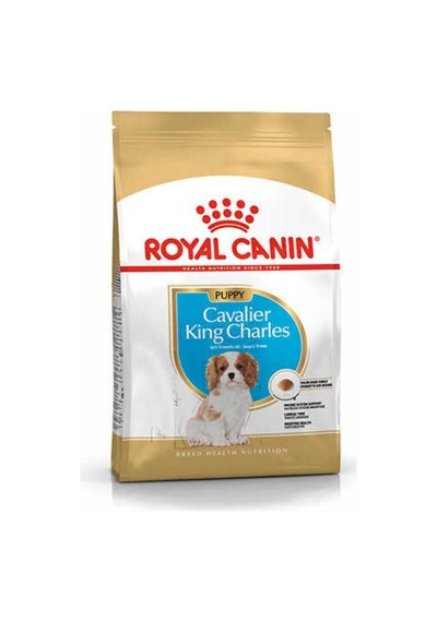 Royal Canin  Cavalier King Charles Junior Yavru Köpek Maması 1,5 Kg