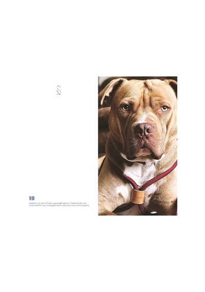 Köpek Dünyası Journal Düz