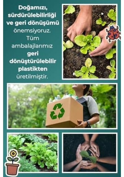 Elektriklenen Saçlar Ve Düşen Kaşlar İçin İz Bırakmayan Keratinli Arganlı Saç Kaş Waxı - 15ml 0