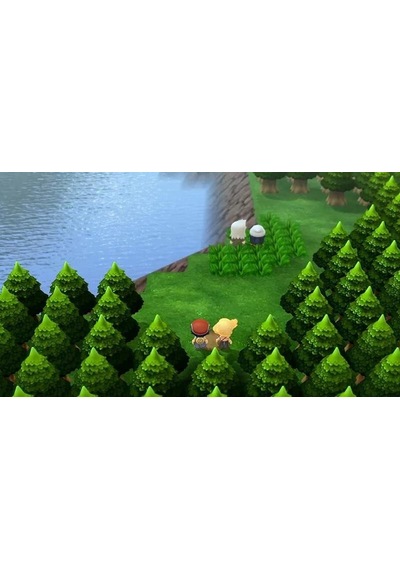 Cbtx Nintendo Switch Game Ns Pokemon Brilliant Diamond