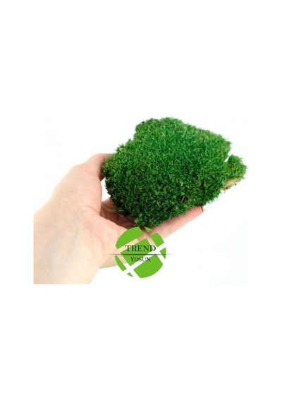 Top Yosun Şoklanmış Ort. 500 Gr. Ballmoss Yosun Koyu Yeşil