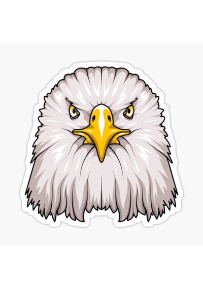 Araba Için Kartal Oto Sticker Yapıştırması Etiket 17Cm Q6