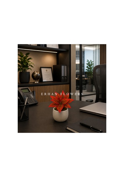 Yapay Kırmızı Croton Calathea 48 Cm - Dekoratif Vazo İçi Islak Dokulu Yaprak Dalı Saksısız