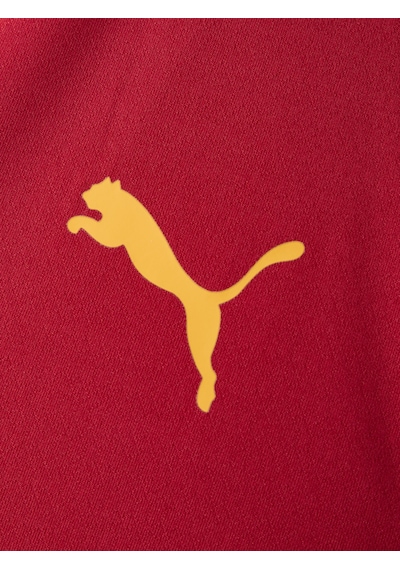 Gsstore Galatasaray Puma Çocuk Antrenman Ceket 78681001 Kırmızı