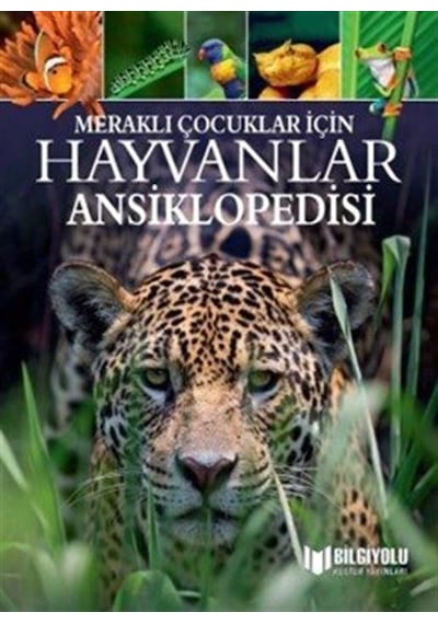 Meraklı Çocuklar İçin Hayvanlar Ansiklopedisi / Michael Leach