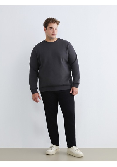 Lcwaıkıkı Classic Antrasit Büyük Beden Bisiklet Yaka Erkek Sweatshirt