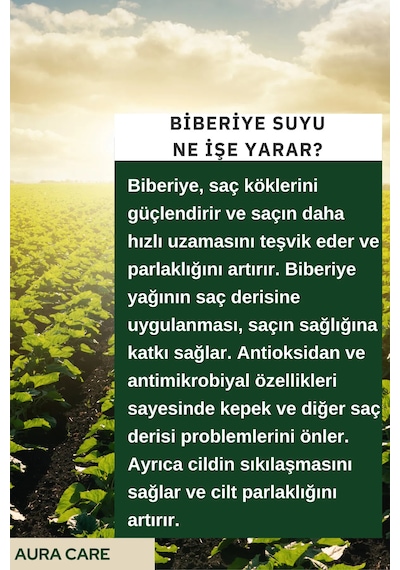 Aura Care Saç Dökülme Karşıtı ve Uzatma Etkili Biberiye Suyu 100 ML