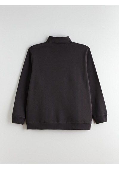 Lcwaıkıkı Classic Antrasit Büyük Beden Dik Yaka Erkek Sweatshirt